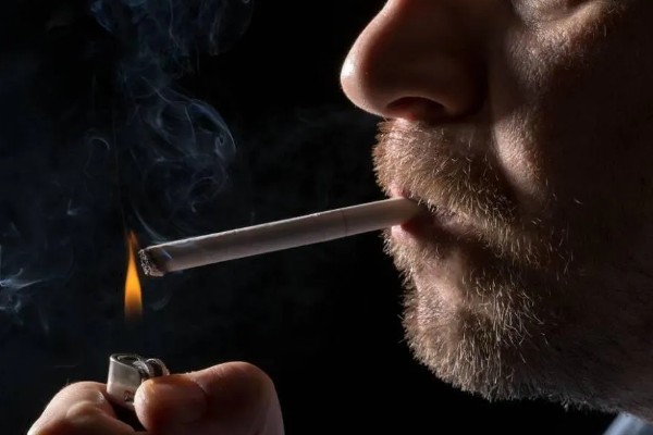 虎皮鹦鹉怕不怕香烟，非常怕香烟