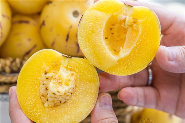 人参果是杂交出来的吗,并非杂交品种