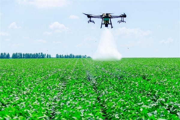 敌草快简介，是一种灭生性除草剂