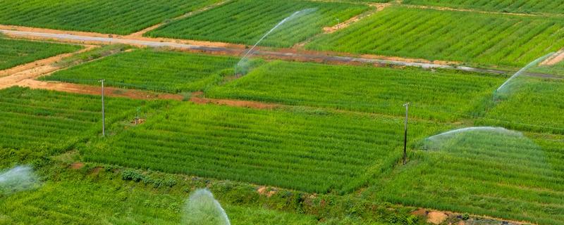 农业节水灌溉有什么方式，分为喷灌、微喷灌、滴灌等6种方法