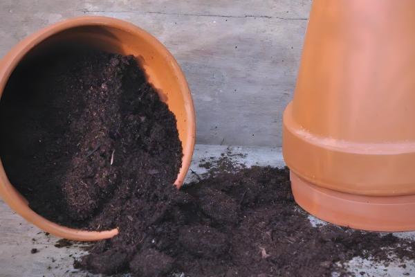 让绿萝长藤的方法，适宜生长温度在22℃左右