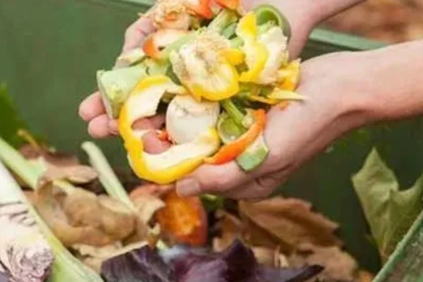 坚果核是哪种垃圾，属于其它垃圾