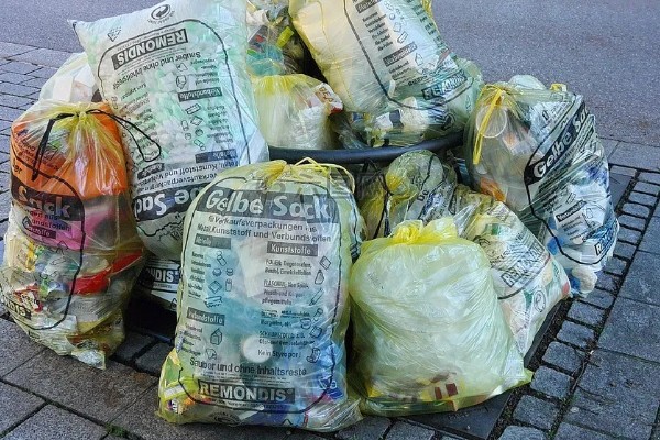 坚果核是哪种垃圾，属于其它垃圾