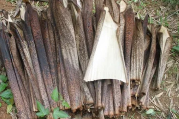 坚果核是哪种垃圾，属于其它垃圾