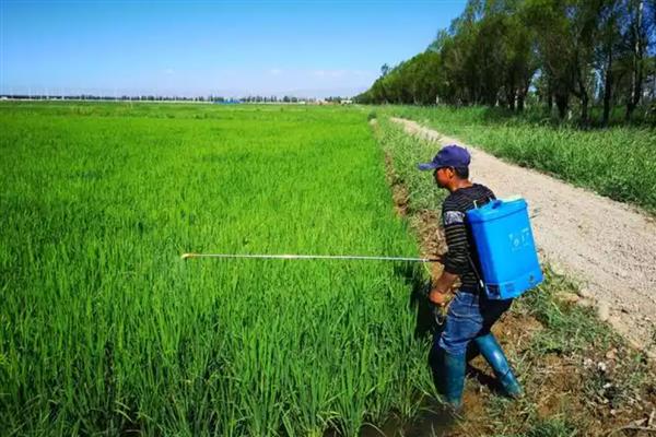 杀虫药的种类，对硫磷、甲基对硫磷等药物很常见