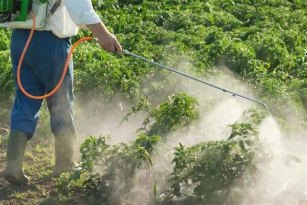 杀虫药的种类，对硫磷、甲基对硫磷等药物很常见