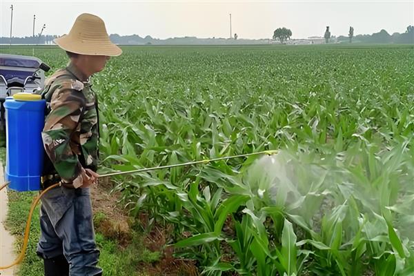 杀虫药的种类，对硫磷、甲基对硫磷等药物很常见