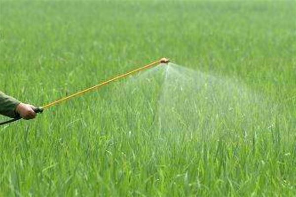 杀虫药的种类，对硫磷、甲基对硫磷等药物很常见