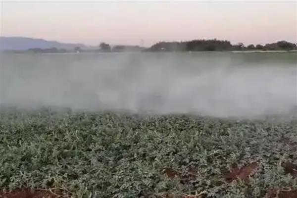 杀虫药的种类，对硫磷、甲基对硫磷等药物很常见