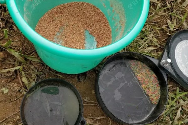 螺鲤2号加蓝鲫的效果,二者搭配味型偏腥