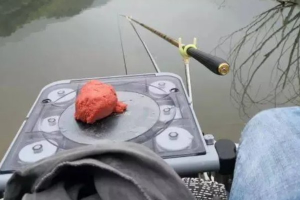 螺鲤2号加蓝鲫的效果,二者搭配味型偏腥