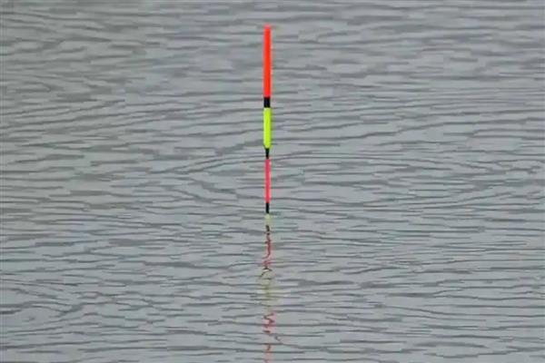如何正确单钩垂钓调漂，首先需要初步定位浮漂