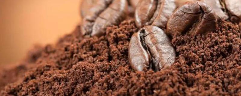 咖啡渣能直接放在花盆里吗，建议腐熟后再与土壤混用