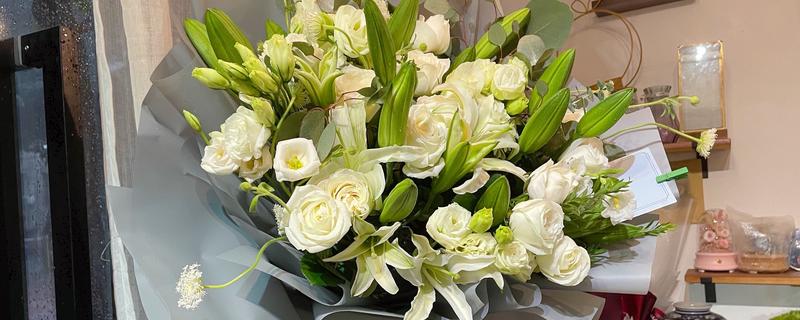 白百合花有什么寓意,代表纯洁庄严、心想事成等含义