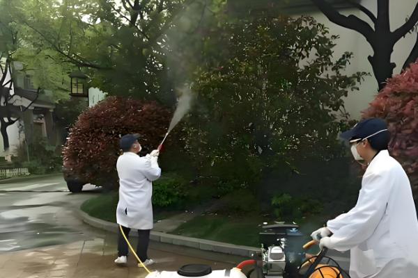 果树怎么施肥，萌芽前主施氮肥