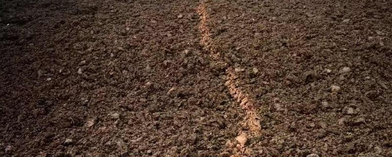 鸡粪怎样发酵成有机肥，可自然发酵也可烘干发酵