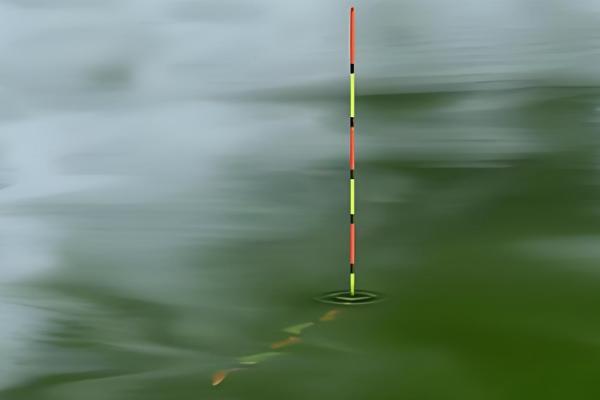 达摩浮漂推荐,推荐E-01、E-04等