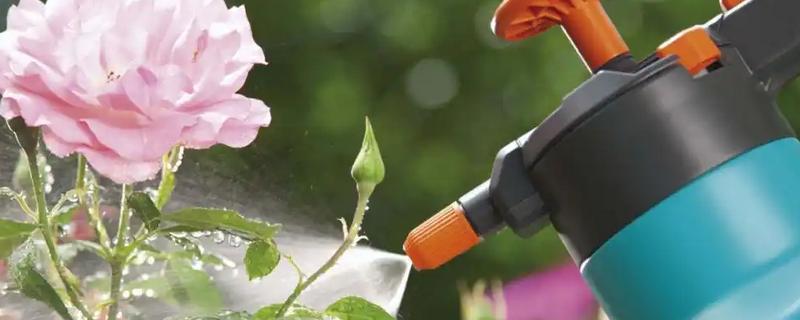 氮肥能不能兑水浇花，一般可以每隔30天浇一次