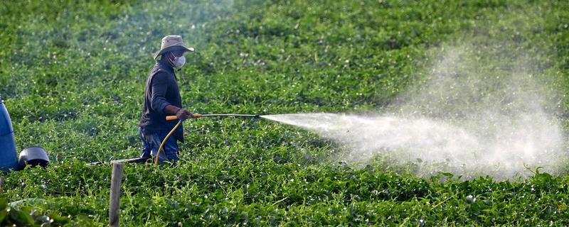 怎么避免农药残留超标，使用低毒农药并控制用量