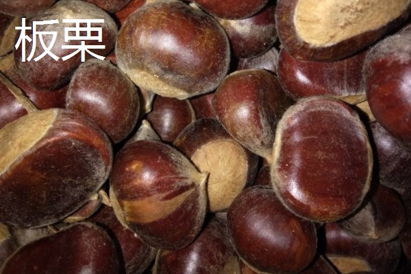 为什么中秋节也叫团圆节,因为当天圆月当空