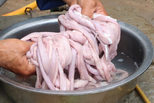 怎么清洗猪大肠,需要用剪刀沿着大肠剪开