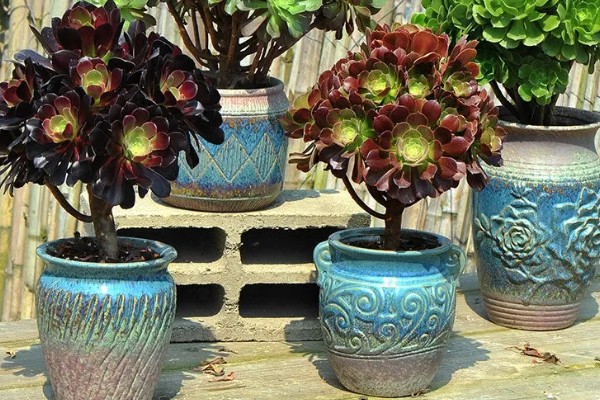 法师的休眠时间，在夏季或冬季休眠