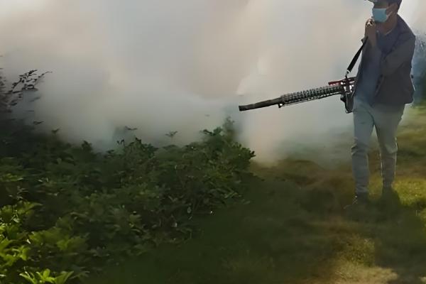 杀马蜂用哪种杀虫剂，可以选择高效氯氰菊酯、胺菊酯等