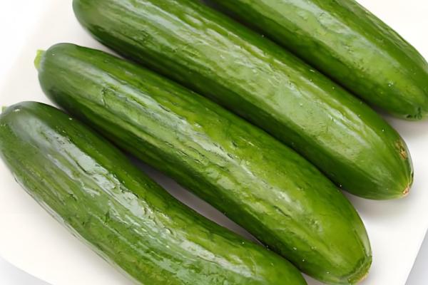 什么瓜跟黄瓜很像，荷兰瓜与黄瓜相似