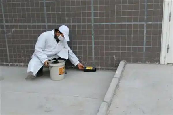 驱鼠的最佳办法，可以用老鼠夹灭鼠