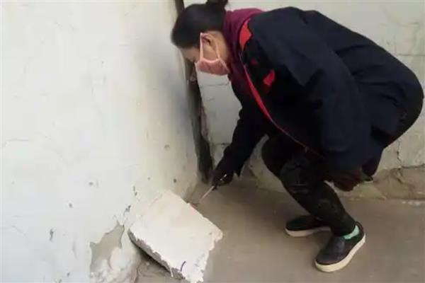 驱鼠的最佳办法，可以用老鼠夹灭鼠