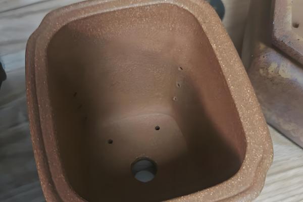 阳台韭菜怎么种植,可播种育苗也可韭根直接栽植