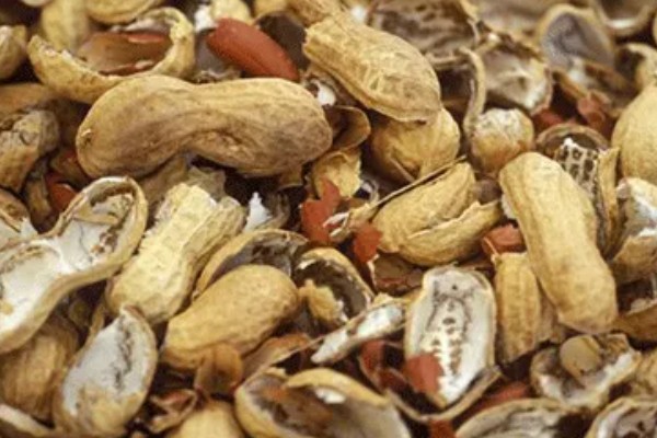 花生空壳的原因,可能是缺钙所致