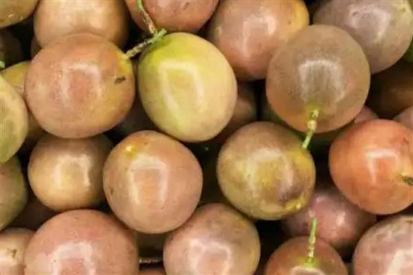 百香果的籽能吃吗,是可以吃的