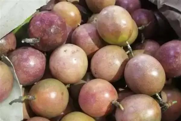 百香果的籽能吃吗,是可以吃的