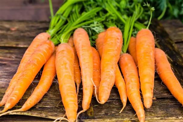 有哪些蔬菜适合在家水培，推荐胡萝卜、大葱等