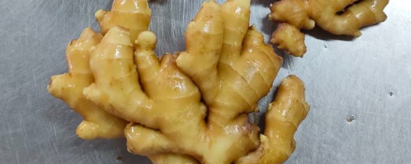 生姜绿了还可以吃吗,可以放心食用