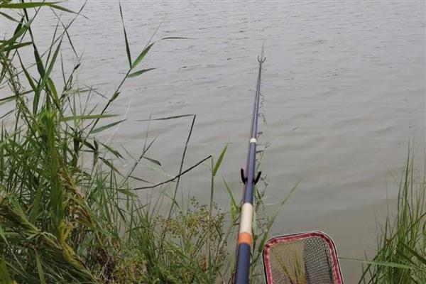 钓鲢鳙用几号钩，根据鲢鳙大小调整鱼钩型号