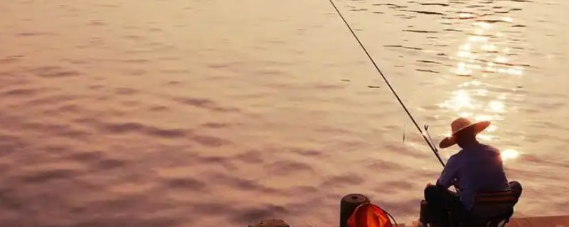 五月怎么钓鱼,要根据鱼情和天气等搭配线组
