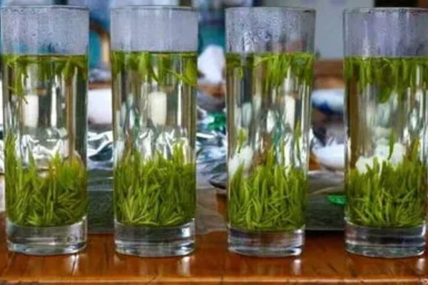 汉中仙毫的简介，是一种绿茶