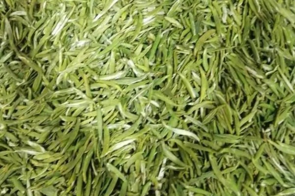 汉中仙毫的简介，是一种绿茶