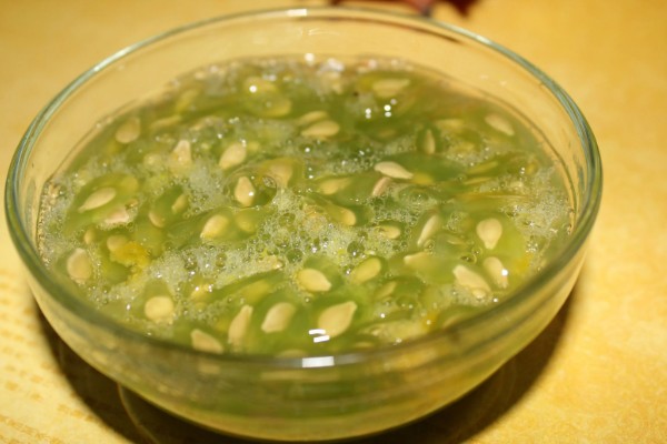 怎么种植黄瓜,生长期间每隔3天浇一次水