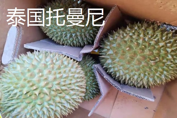 甲仑榴莲在几月份成熟上市，在3-4月份成熟