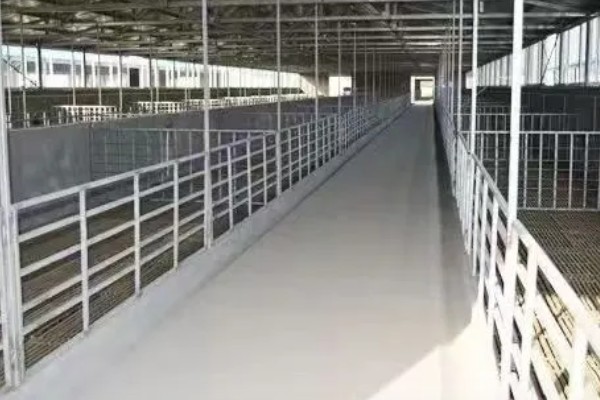 羊舍的建造方法,舍内的地面要比外面高出25厘米以上