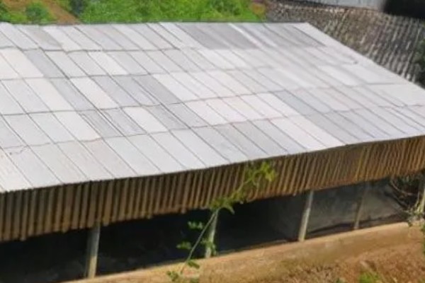 羊舍的建造方法,舍内的地面要比外面高出25厘米以上