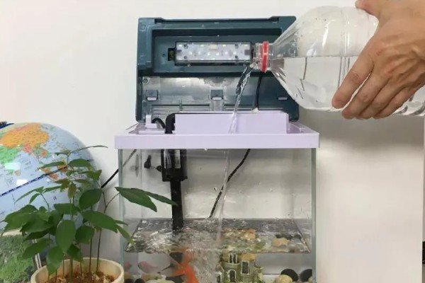 养鱼如何让水变清澈，安装过滤器并定期换水