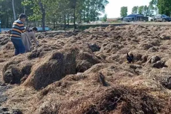 制作生物菌肥的配方,原料包括秸秆、玉米淀粉等