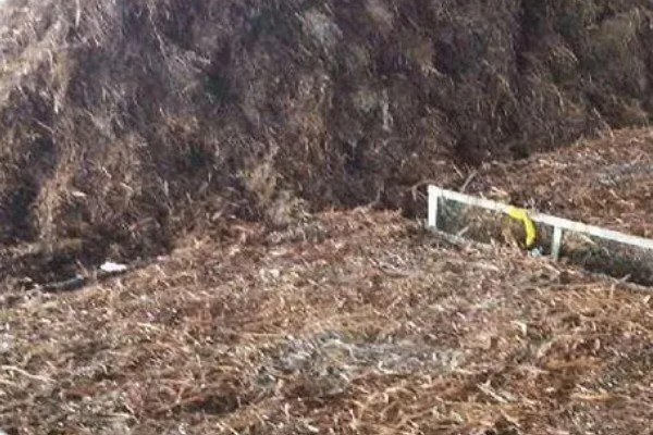 制作生物菌肥的配方,原料包括秸秆、玉米淀粉等