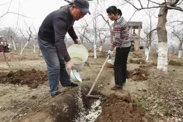 制作生物菌肥的配方,原料包括秸秆、玉米淀粉等