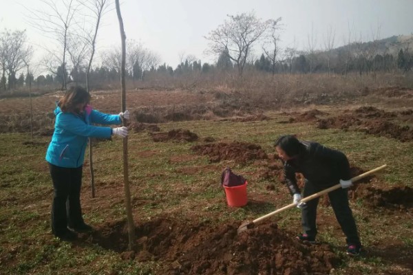 制作生物菌肥的配方,原料包括秸秆、玉米淀粉等