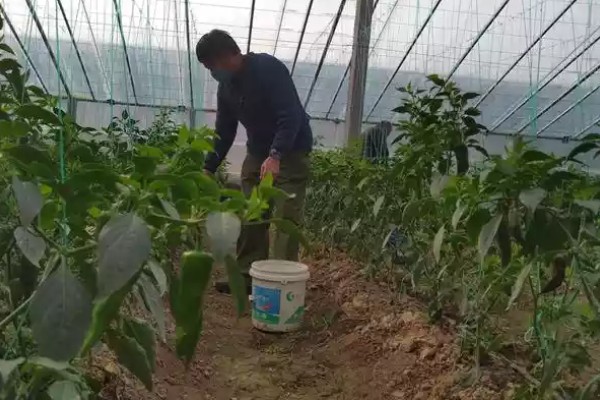 制作生物菌肥的配方,原料包括秸秆、玉米淀粉等